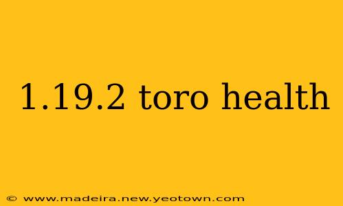 1.19.2 toro health