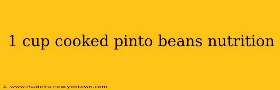 1 cup cooked pinto beans nutrition