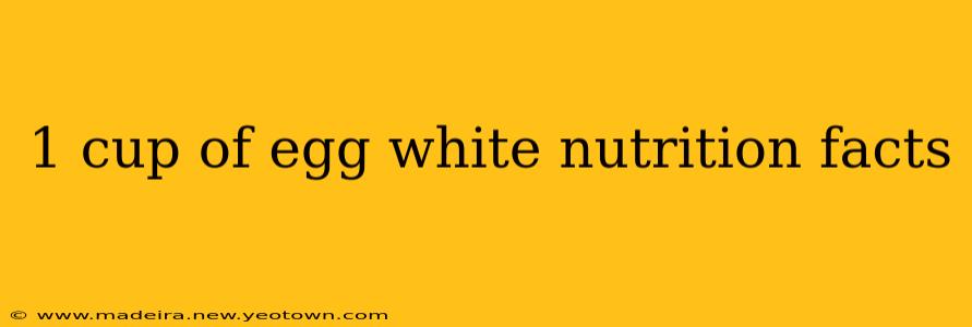 1 cup of egg white nutrition facts