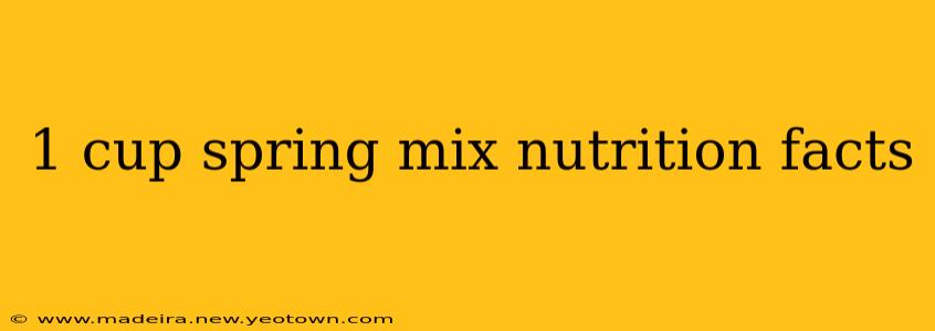 1 cup spring mix nutrition facts
