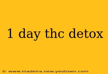 1 day thc detox