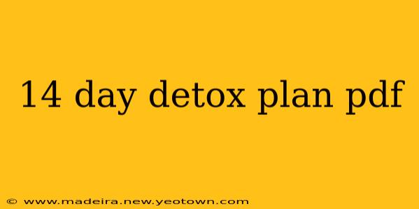 14 day detox plan pdf