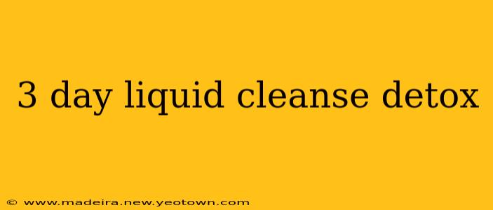 3 day liquid cleanse detox