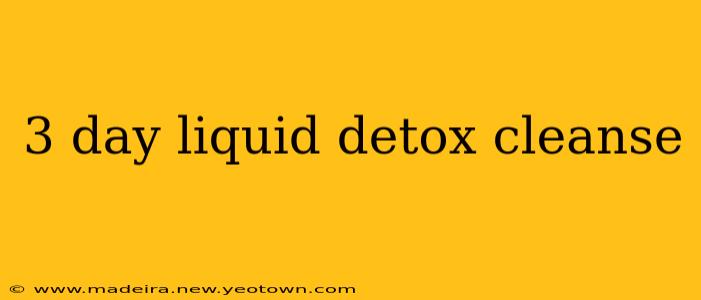 3 day liquid detox cleanse
