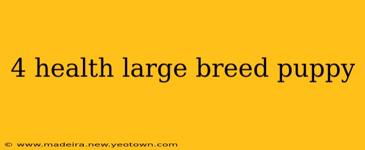 4 health large breed puppy