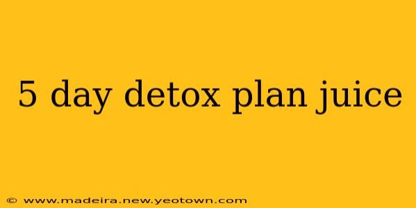 5 day detox plan juice
