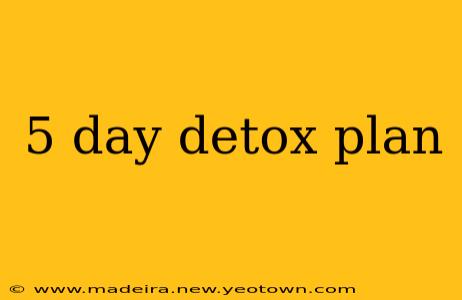 5 day detox plan