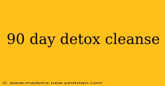 90 day detox cleanse