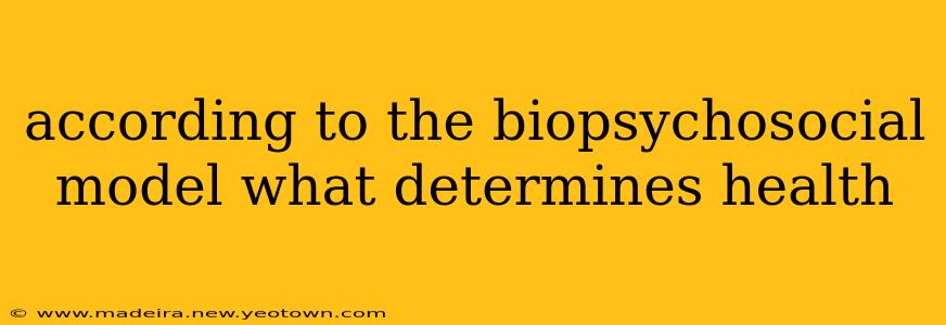 according to the biopsychosocial model what determines health