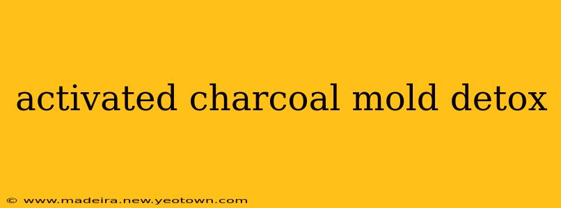 activated charcoal mold detox