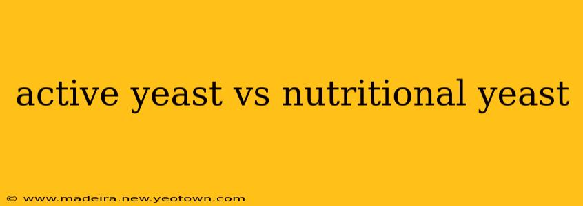 active yeast vs nutritional yeast