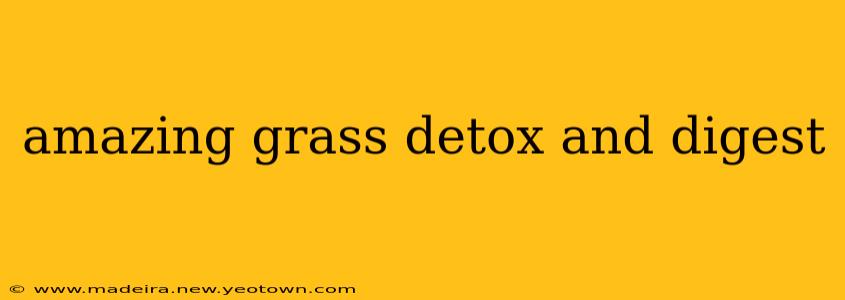 amazing grass detox and digest