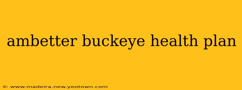 ambetter buckeye health plan