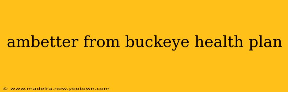 ambetter from buckeye health plan