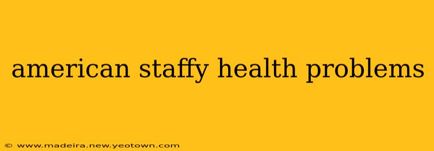 american staffy health problems