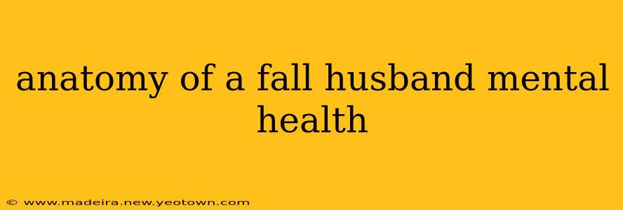 anatomy of a fall husband mental health