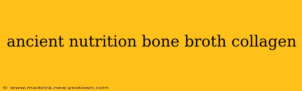 ancient nutrition bone broth collagen
