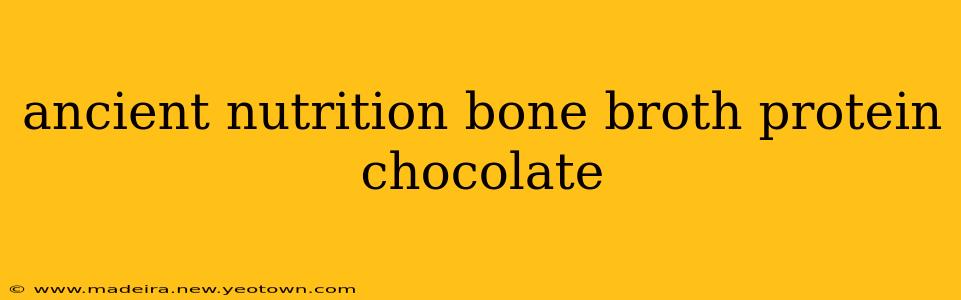 ancient nutrition bone broth protein chocolate