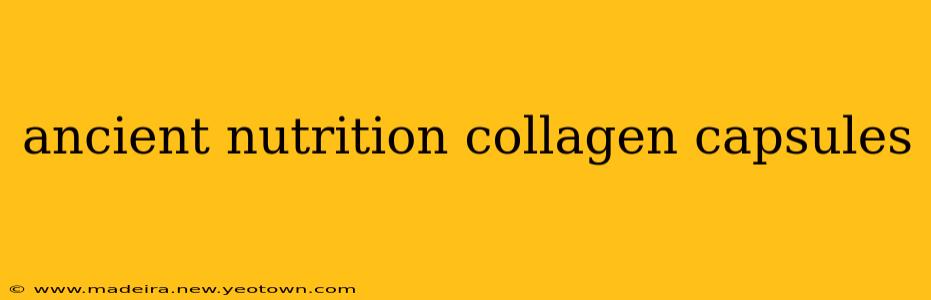 ancient nutrition collagen capsules