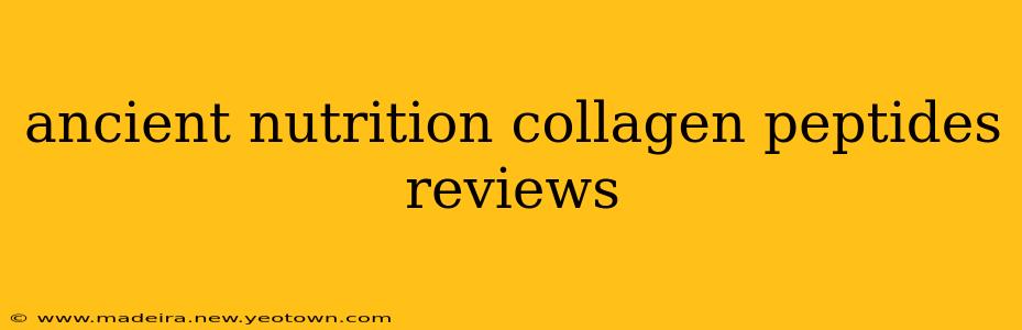ancient nutrition collagen peptides reviews