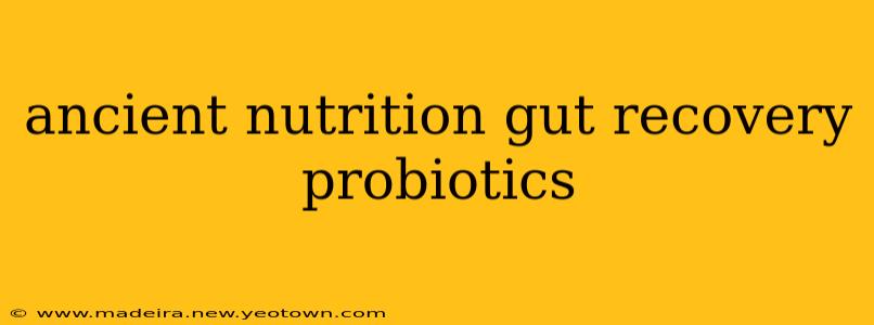 ancient nutrition gut recovery probiotics