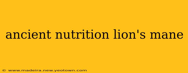 ancient nutrition lion's mane