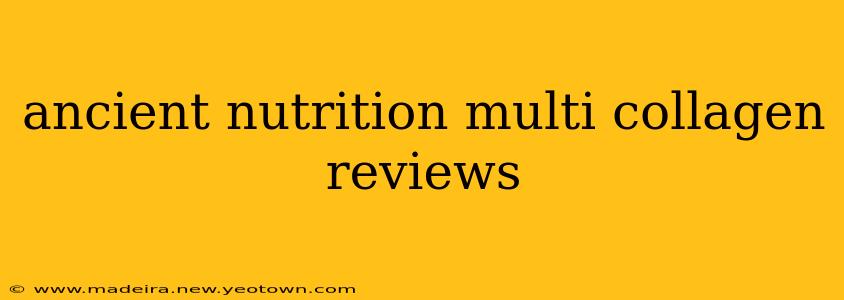 ancient nutrition multi collagen reviews