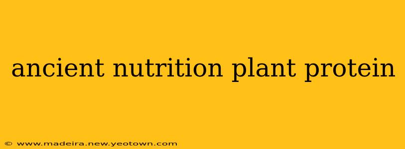 ancient nutrition plant protein