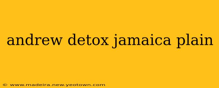 andrew detox jamaica plain