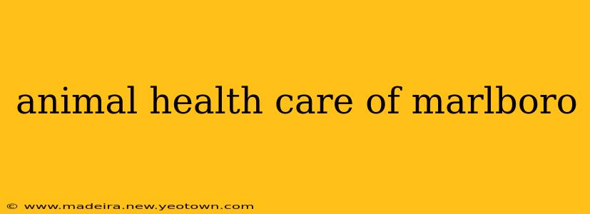 animal health care of marlboro