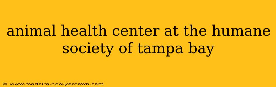 animal health center at the humane society of tampa bay
