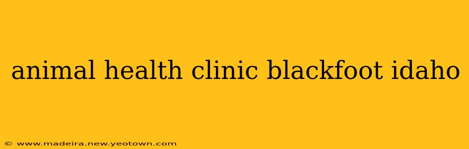 animal health clinic blackfoot idaho