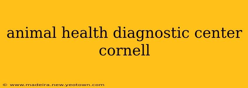 animal health diagnostic center cornell