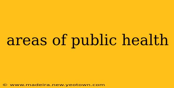 areas of public health
