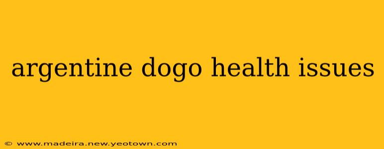 argentine dogo health issues