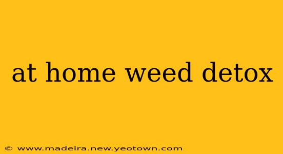 at home weed detox