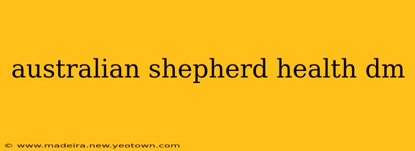 australian shepherd health dm