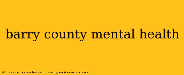 barry county mental health