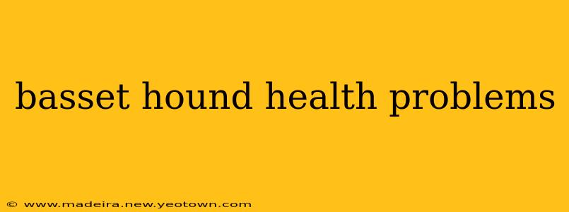 basset hound health problems