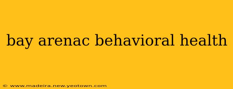 bay arenac behavioral health