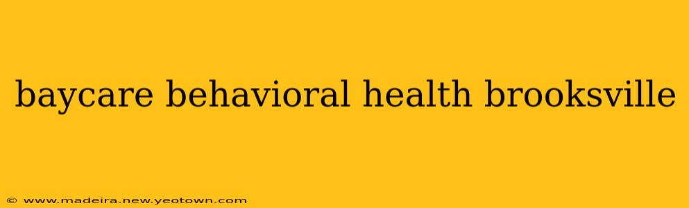 baycare behavioral health brooksville