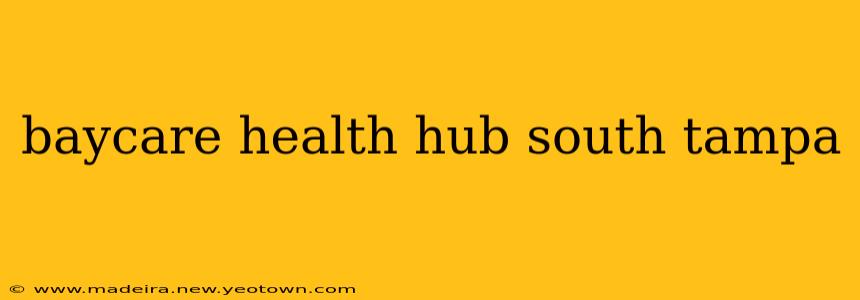 baycare health hub south tampa