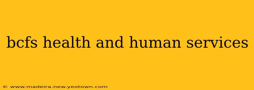 bcfs health and human services