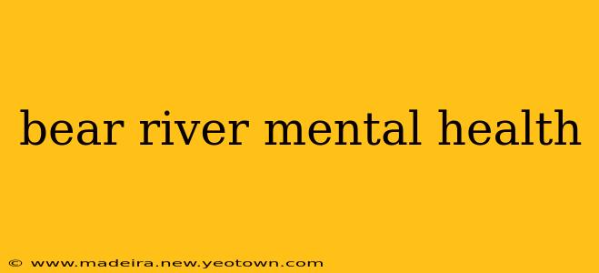 bear river mental health