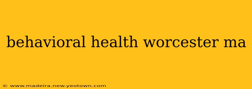 behavioral health worcester ma