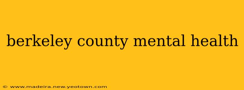 berkeley county mental health