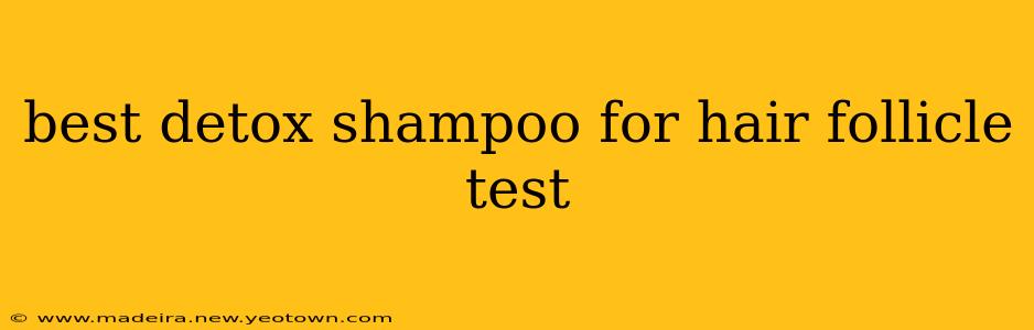 best detox shampoo for hair follicle test