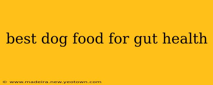 best dog food for gut health