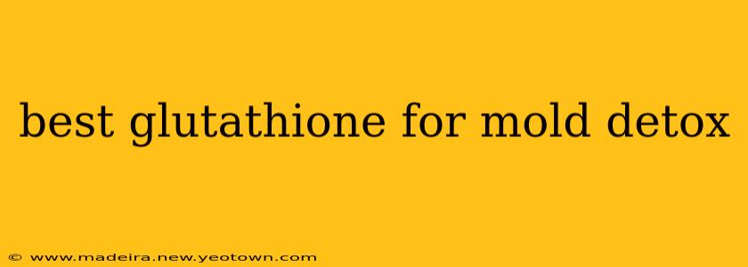 best glutathione for mold detox