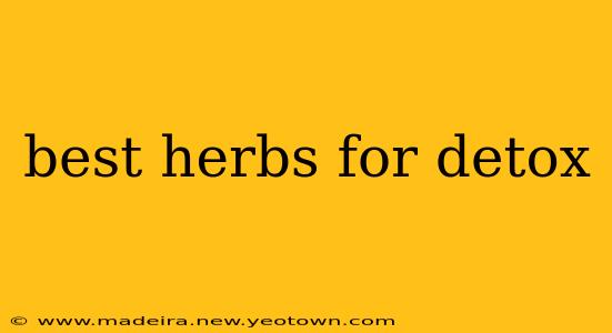 best herbs for detox